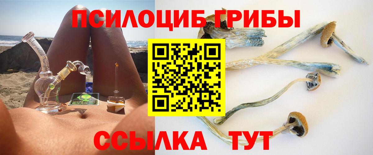 хочу наркоту  Псилоцибиновые грибы Magic Shrooms  Галлюциногенные грибы мицелий  Вход с VPN  Мариинск 