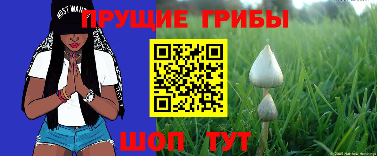 Галлюциногенные грибы прущие грибы Мариинск